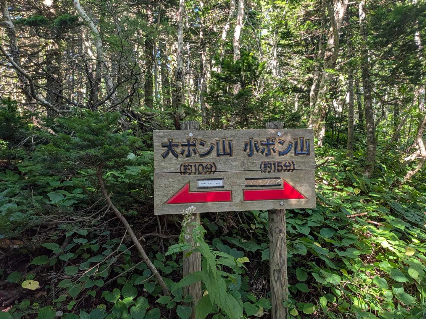 小から行く