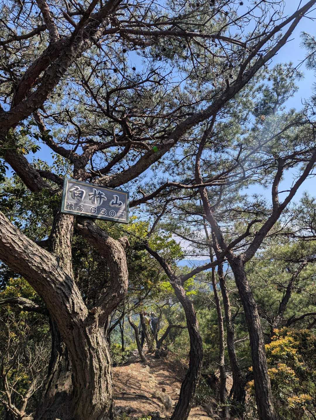 臼杵山