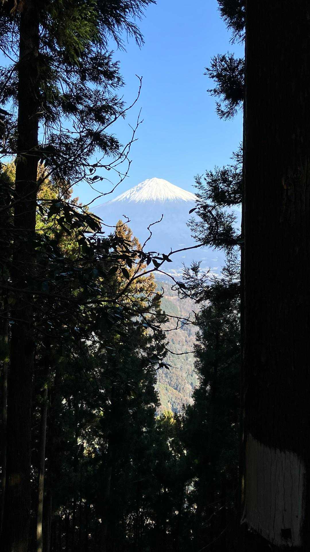 ここからも富士山見えた〜