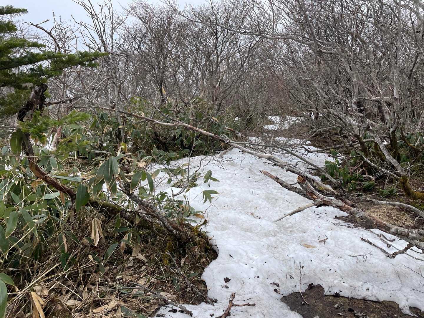 こちらも道しるべ無