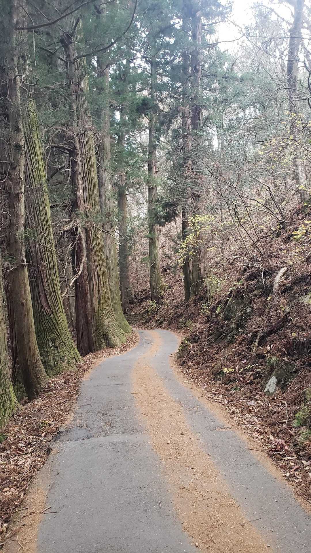 家族となのでゆっくりと🐌