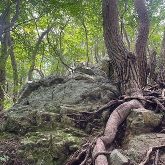 岩だらけの登山道です。
途中で鎖⛓️もあったりしました。

とても整備されている道なので、危なさは感じませんでした。ありがたい限り🙏