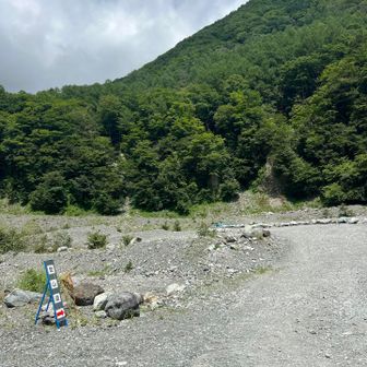 どこが登山道だか分かりにくい