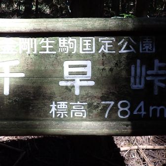 千早峠に着くと•••