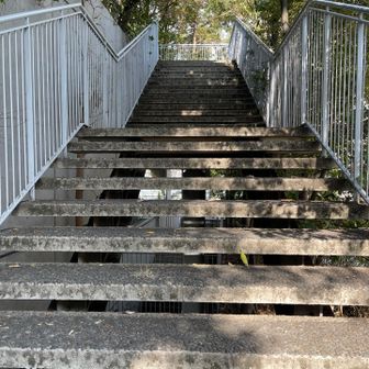 いきなりの急登💦