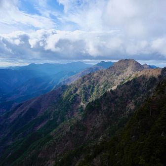 スポットライトに照らされて✨