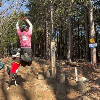 ジャンプしました