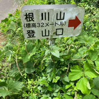 登山口😃