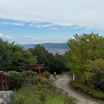 山頂からの水神社の鳥居と景色⛩️