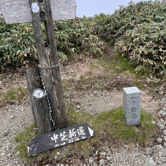 一ノ倉岳到着🙌