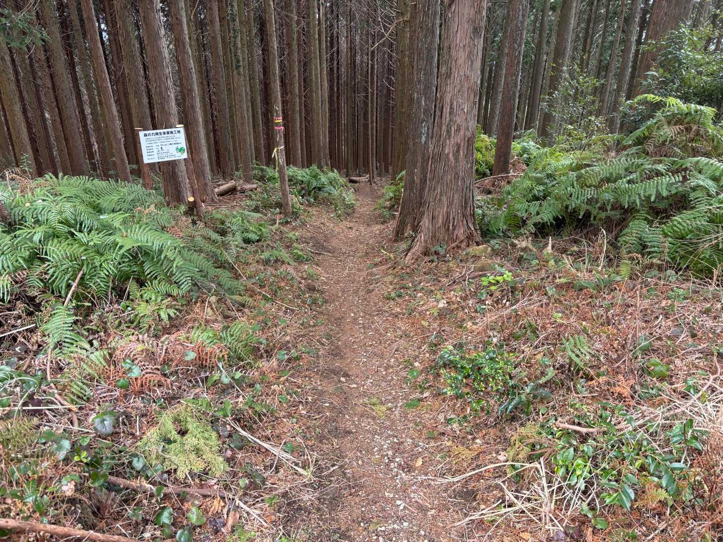 ここから帰ります