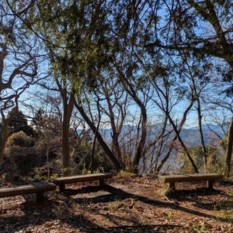 登り切るとベンチ🤣
ちゃんと各ピークに休む所用意してくれているのが嬉しいですね👍