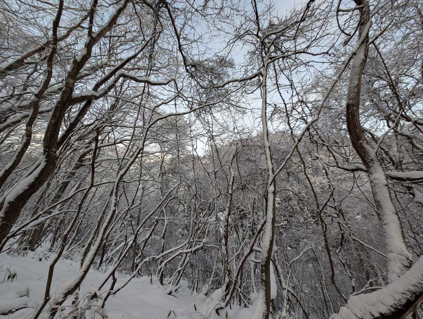 穏やかすぎて鳥もさえずってます🎶🕊️