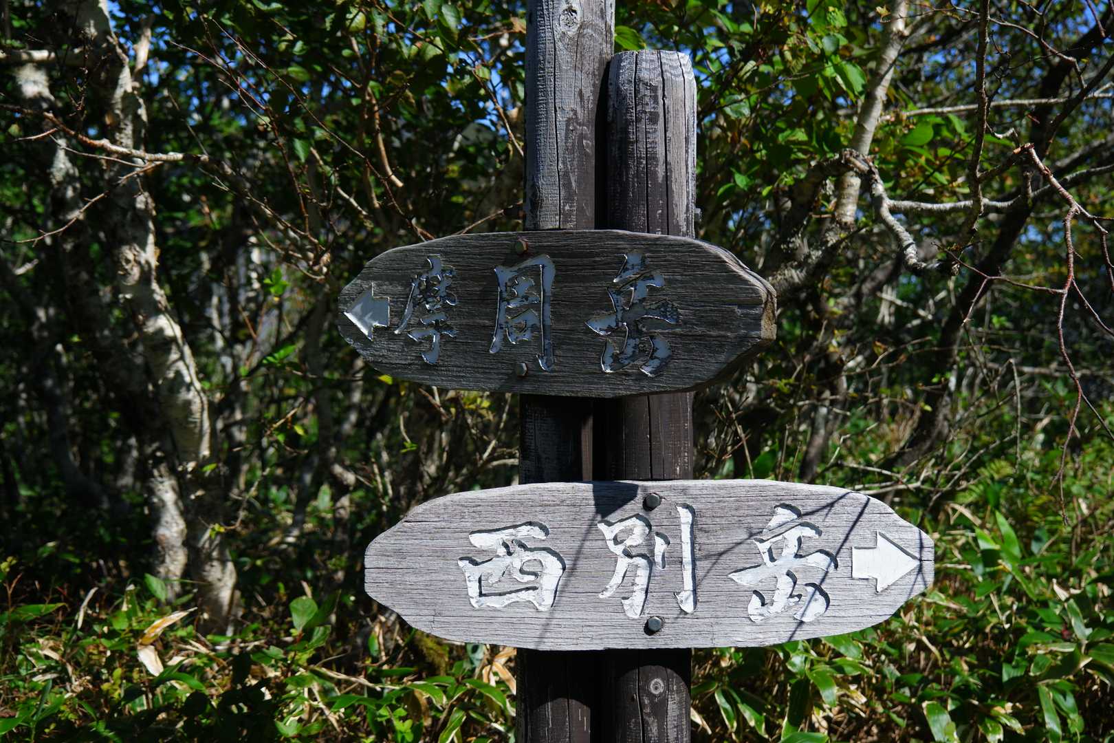 分岐