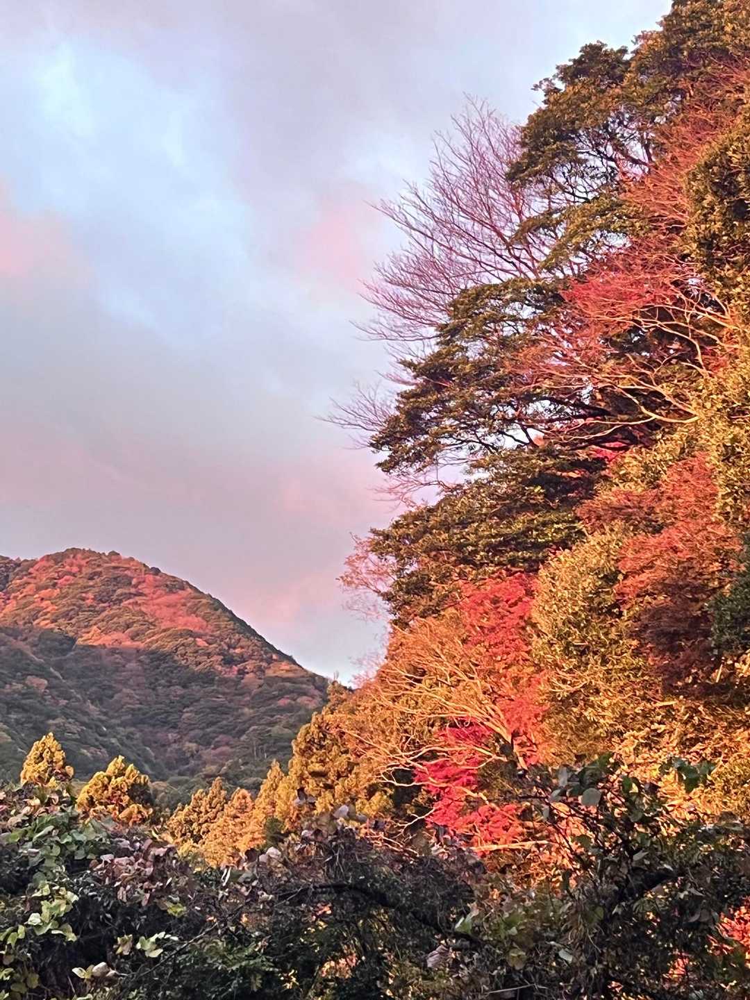 池ヶ谷コース登山口-宮指路岳登山口-宮指路岳-小岐須峠 往復コースの写真