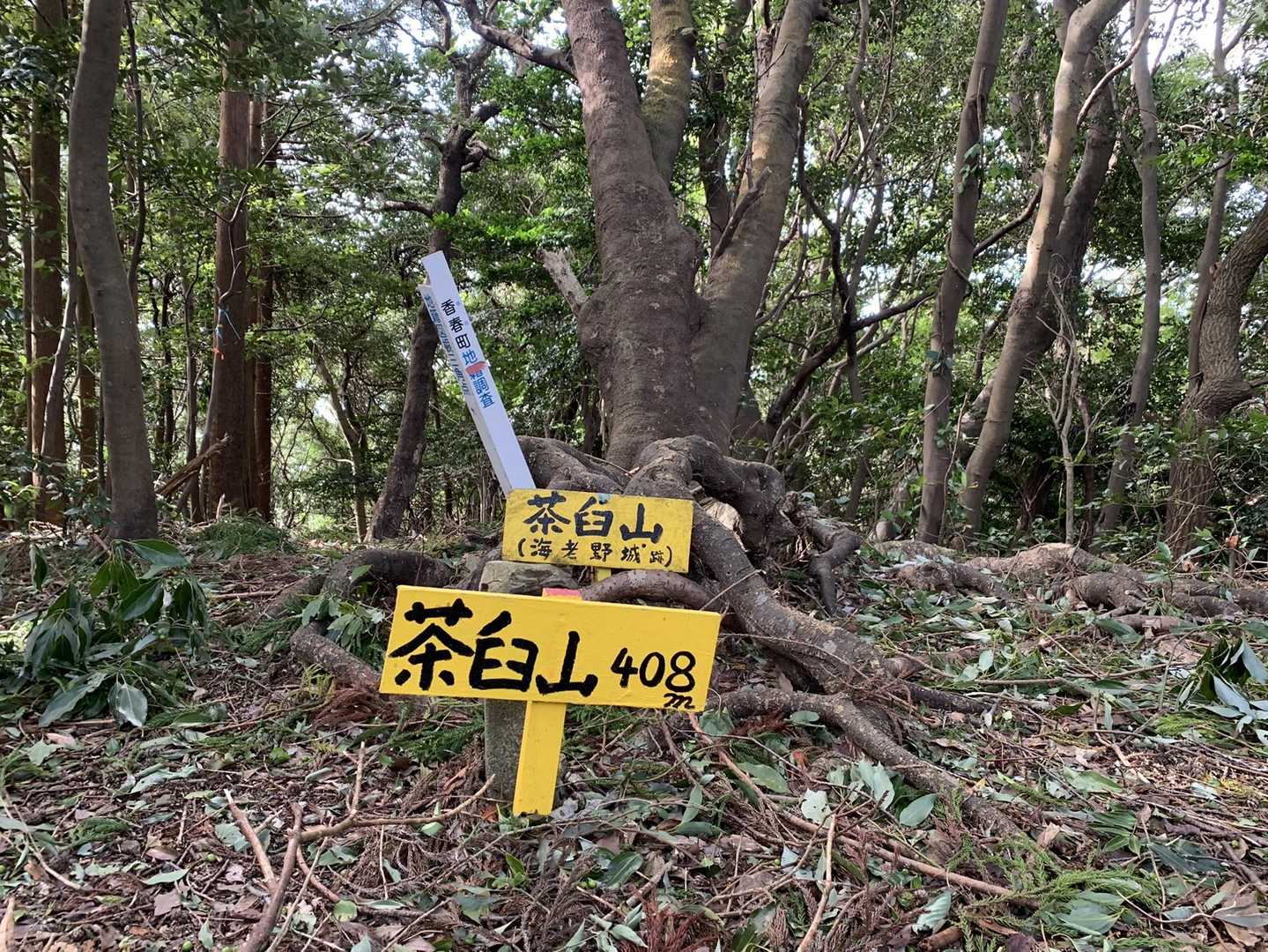 新城-茶臼山 往復コースの写真
