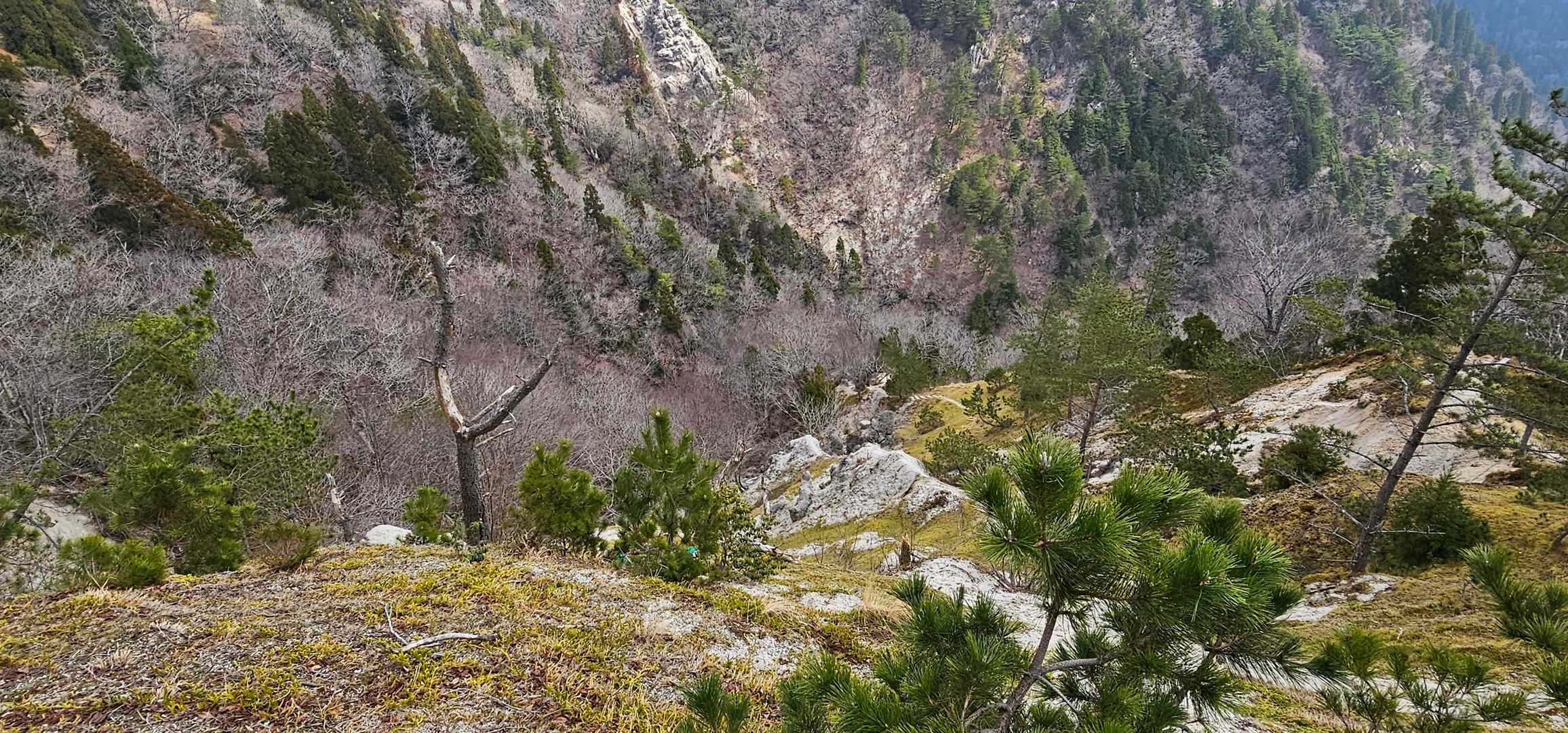釈迦岳-カラ岳-イン谷口バス停 周回コースの写真