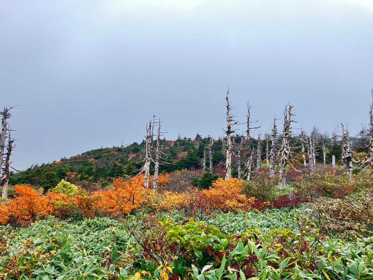 もうすぐ終わってしまいますね　短い山旅⛰️
