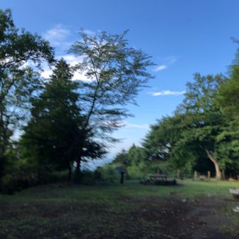 丹沢唯一の幕営地から