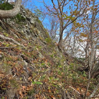 何ヵ所かの岩を右へ左へ巻いて山頂へ
