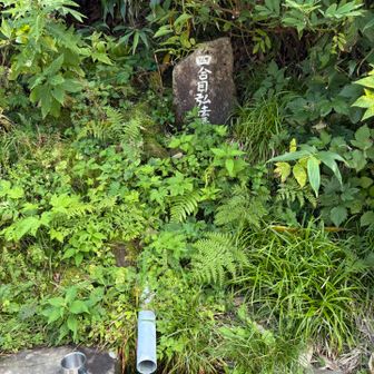 弘法清水の湧水冷たくて美味しい