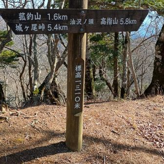 油沢ノ頭まで来ました。