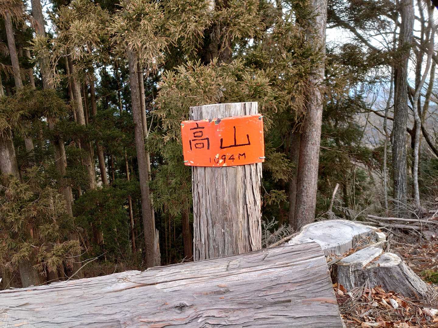 山頂。