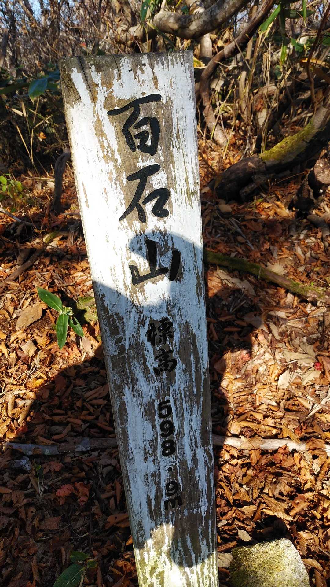 山頂に到着。
あれ？影がひょっこりはん🤣