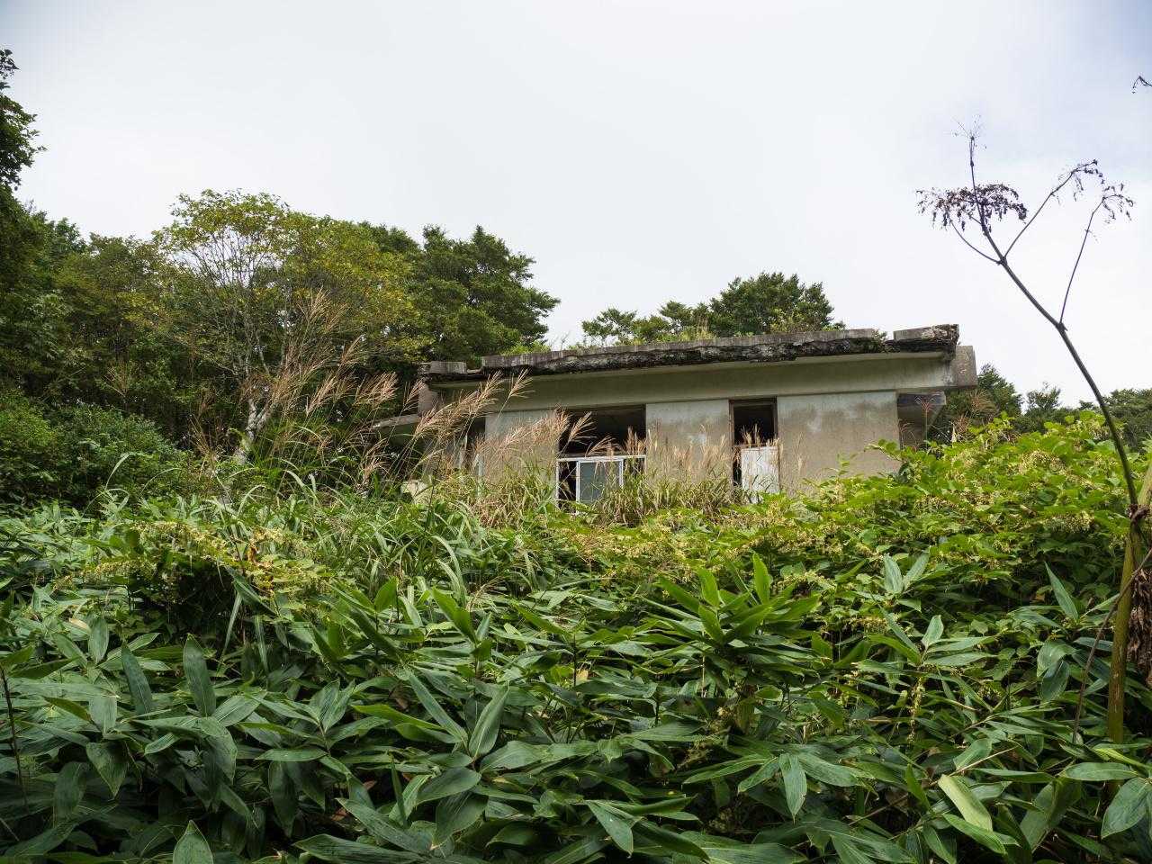 竜王山 往復コースの写真