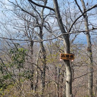 ひぃ😵
完全に水切れです(泣)