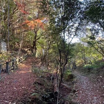 靴下履いたままでも
下りペース上げて走れるの
試作品の段階でもすごい👏