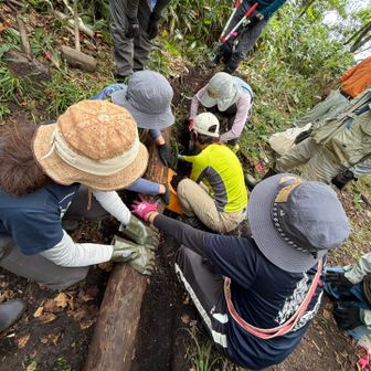 倒木の置く場所に、なるべくピッタリサイズになるように、微調整しながら、穴を掘って🪏