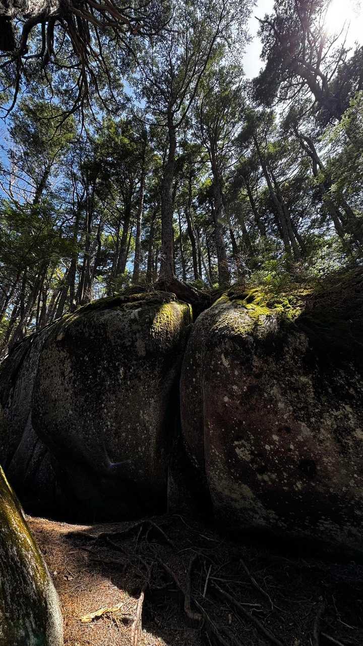 三宝山・甲武信ヶ岳縦走 の写真 18