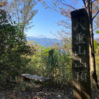 八重山の山頂。
緑は濃いが、富士山が見える。
東屋とベンチもあって休憩しやすい。