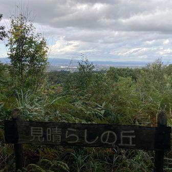 見晴らしの丘