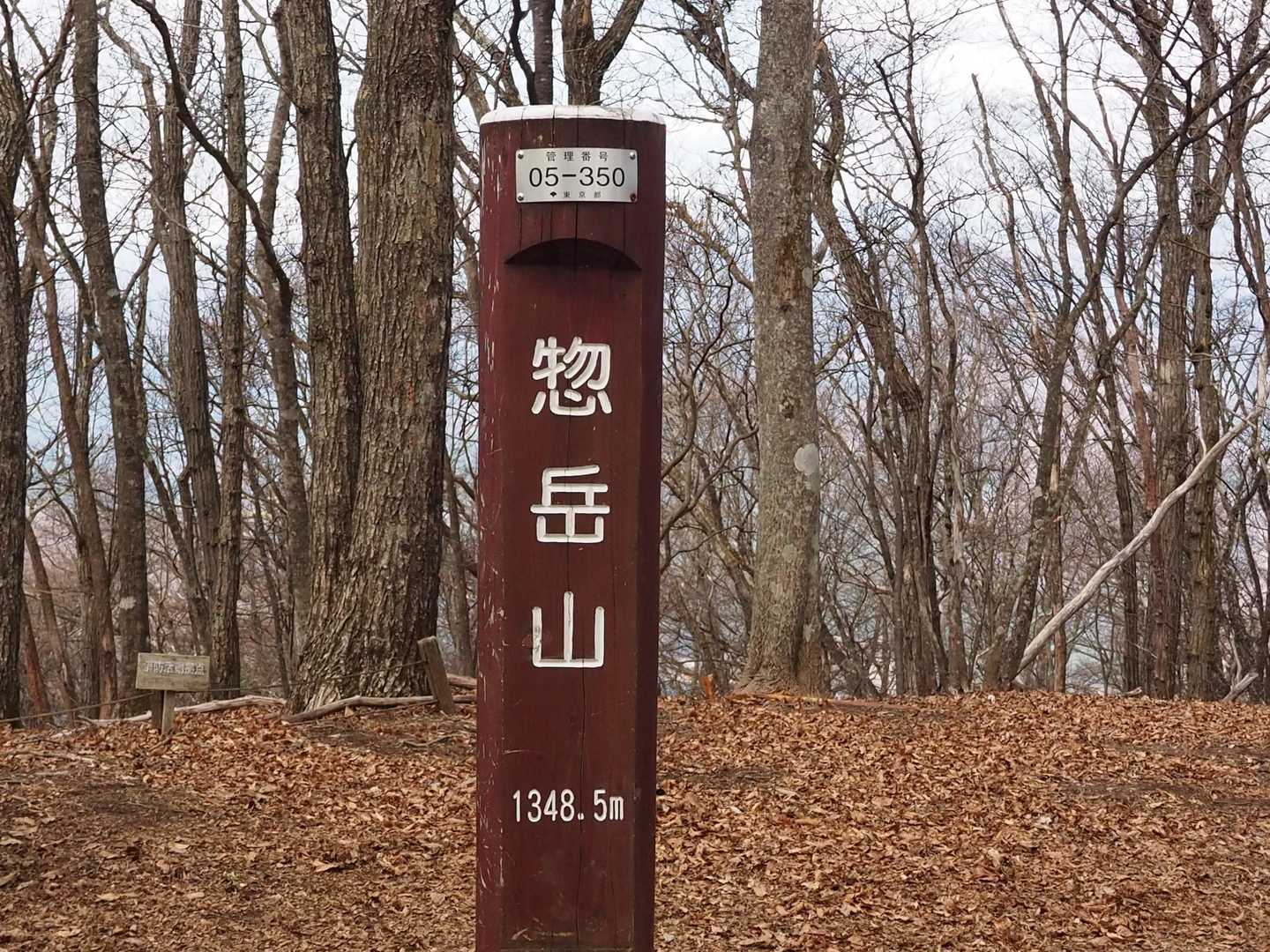 惣岳山に到着。