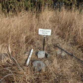 一等三角点が寂し気です。