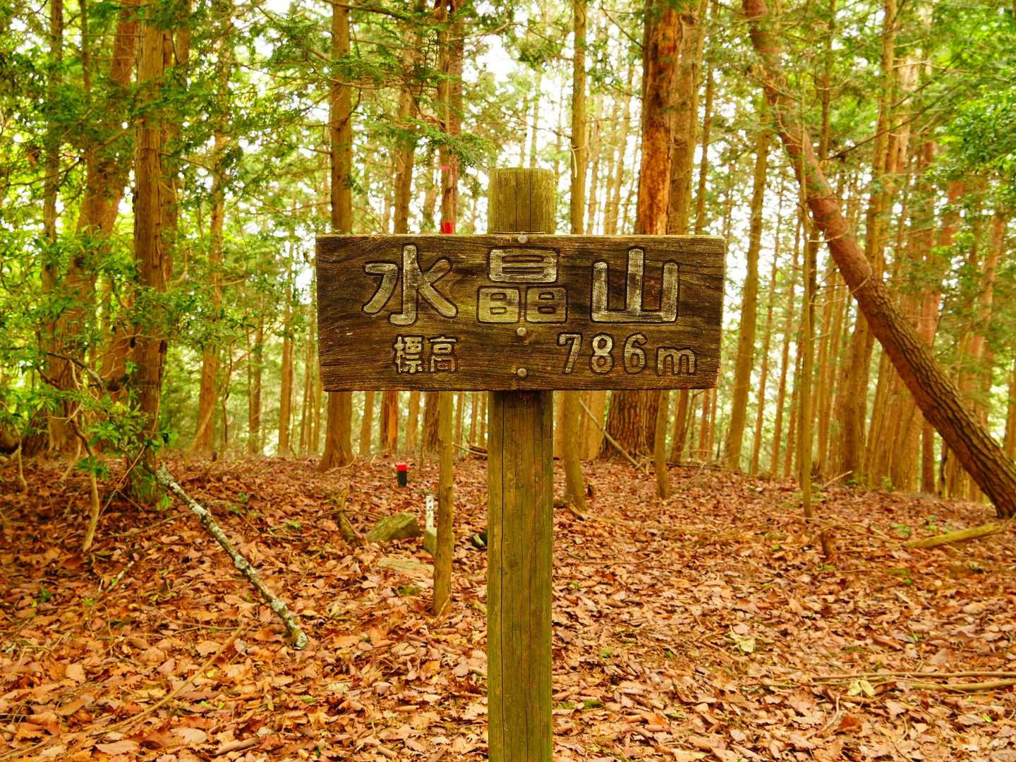 山頂到着。眺望なし。

