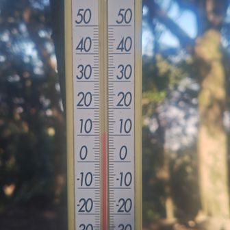 気温10度超え、3月くらいの陽気♪