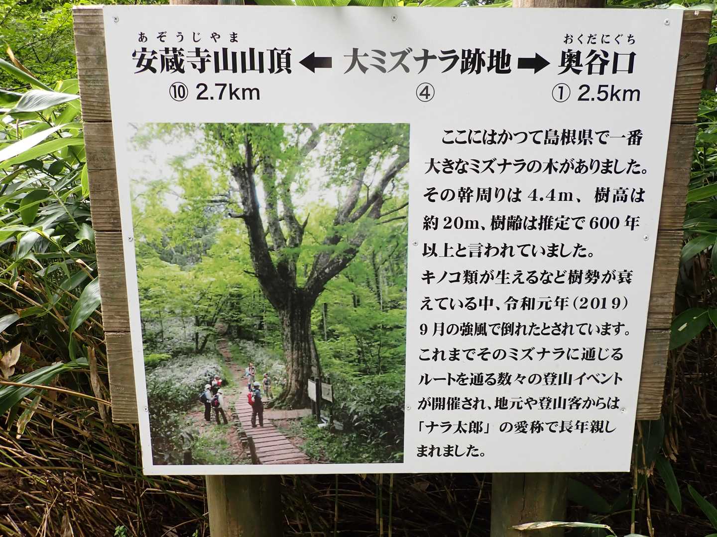 ナラ太郎
６年前ですが残念です😞