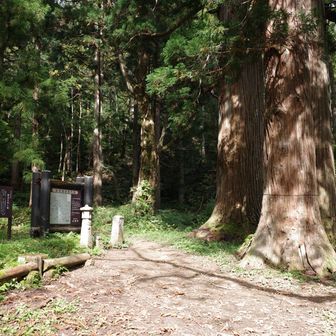 杉の巨木がそびえる御沢登山口。かつての登拝路です。