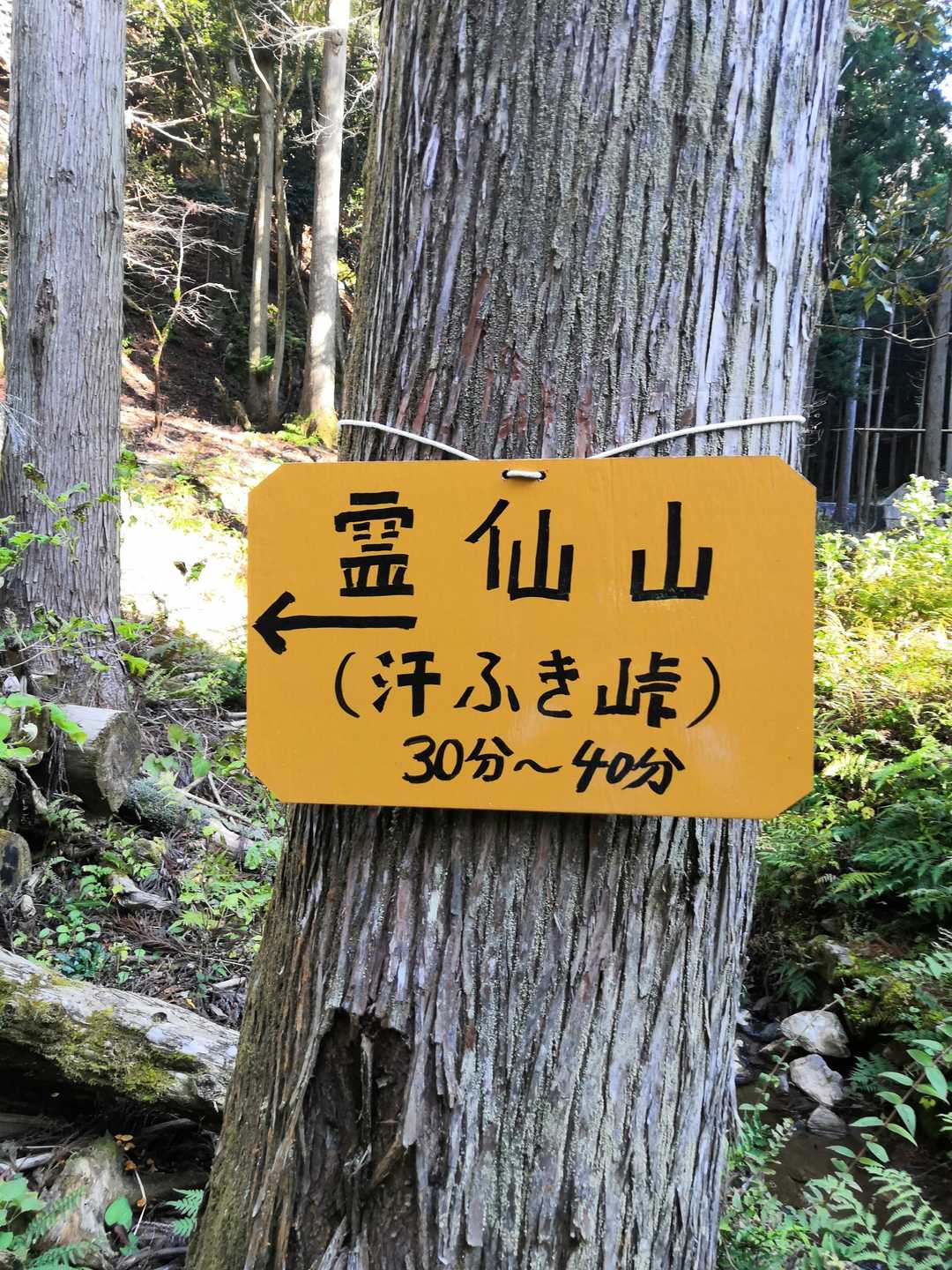 汗ふき峠までこのくらいか～