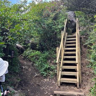 下山時刻あるので
ってかさ
10時過ぎると　砂漠になる🏜️🏜️🏜️
なので下山の理想時間は　10時です
なので山頂踏むなら　その辺は　覚悟してね

とにかく10時から　全く変わりますよ🚨🥵
って事で
女性ソロの方は　宮崎からの遠征でしてて
もう少し　話ししてれば良かかな？！と
宮崎といえば　とにかく登山口までが　難所なので…
事情を聞く必要がある
まず宮崎の山　ターゲットは　パックン岩🪨の山

駐車場でも会ったが　1人やったので　声掛けずらかったんでね🫢
恥ずかしがり屋さんなんです🫣

