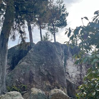 最後の大岩の上が…