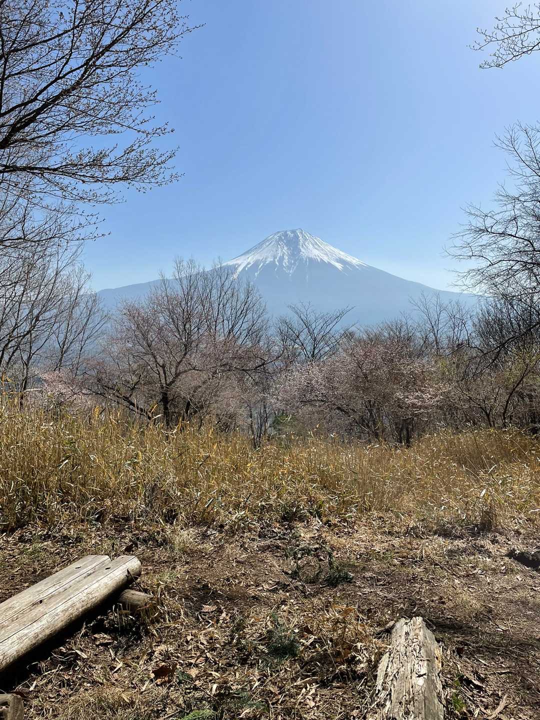 白糸の滝～天子ヶ岳～長者ヶ岳～田貫湖・休暇村富士の写真