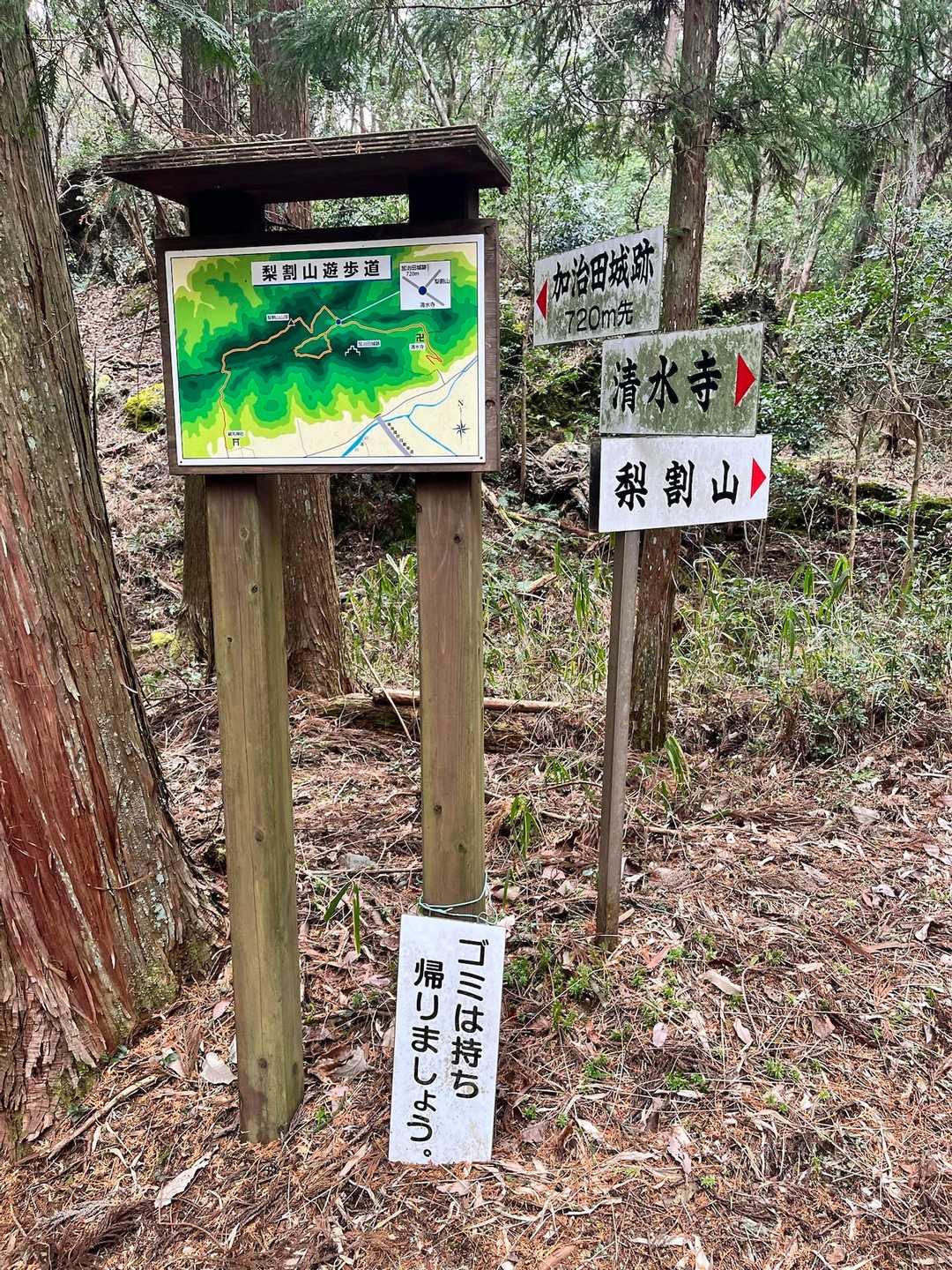 分岐点