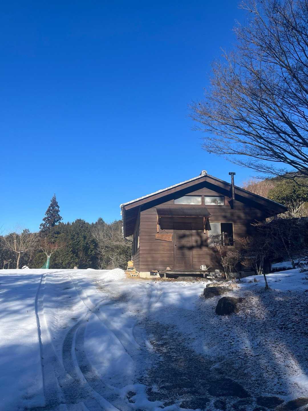 しばらく進むと凍り気味の雪が🧊