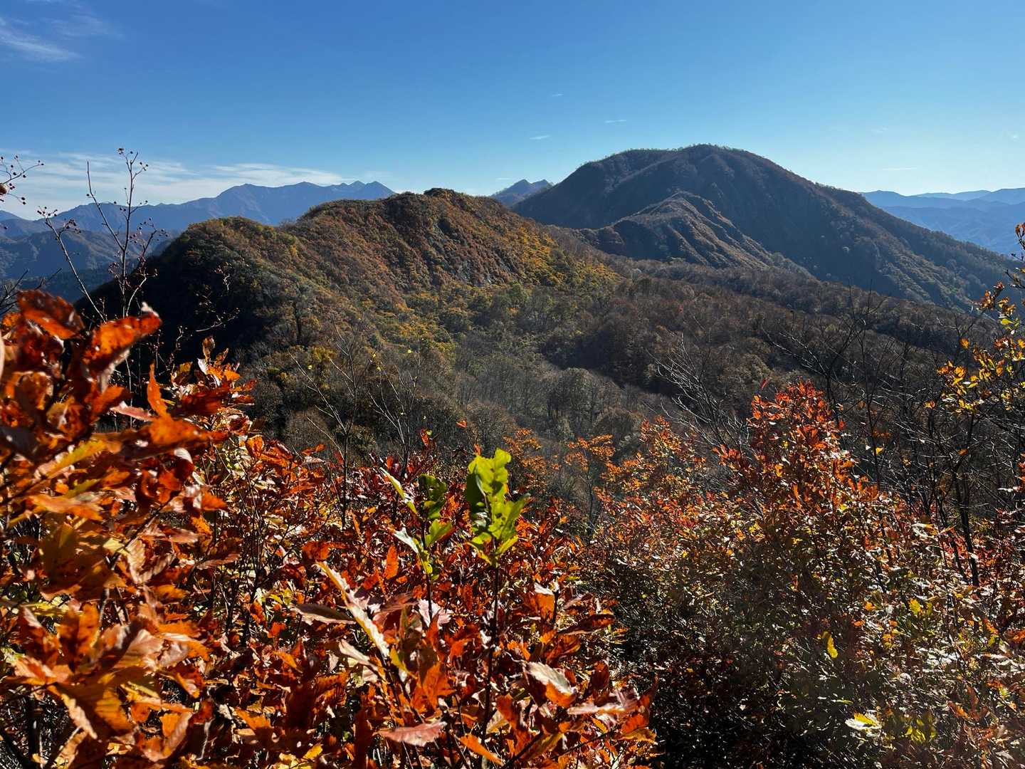 権現堂山周回 | 戸隠神社の境内を抜け、ブナ林と越後三山の大展望を歩くの写真