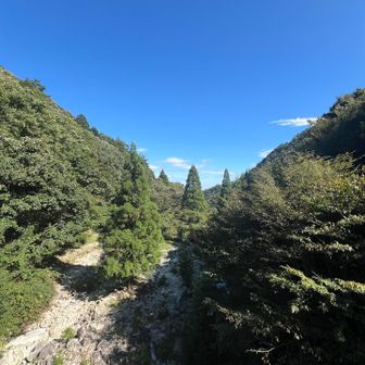 ほんといい天気で最高