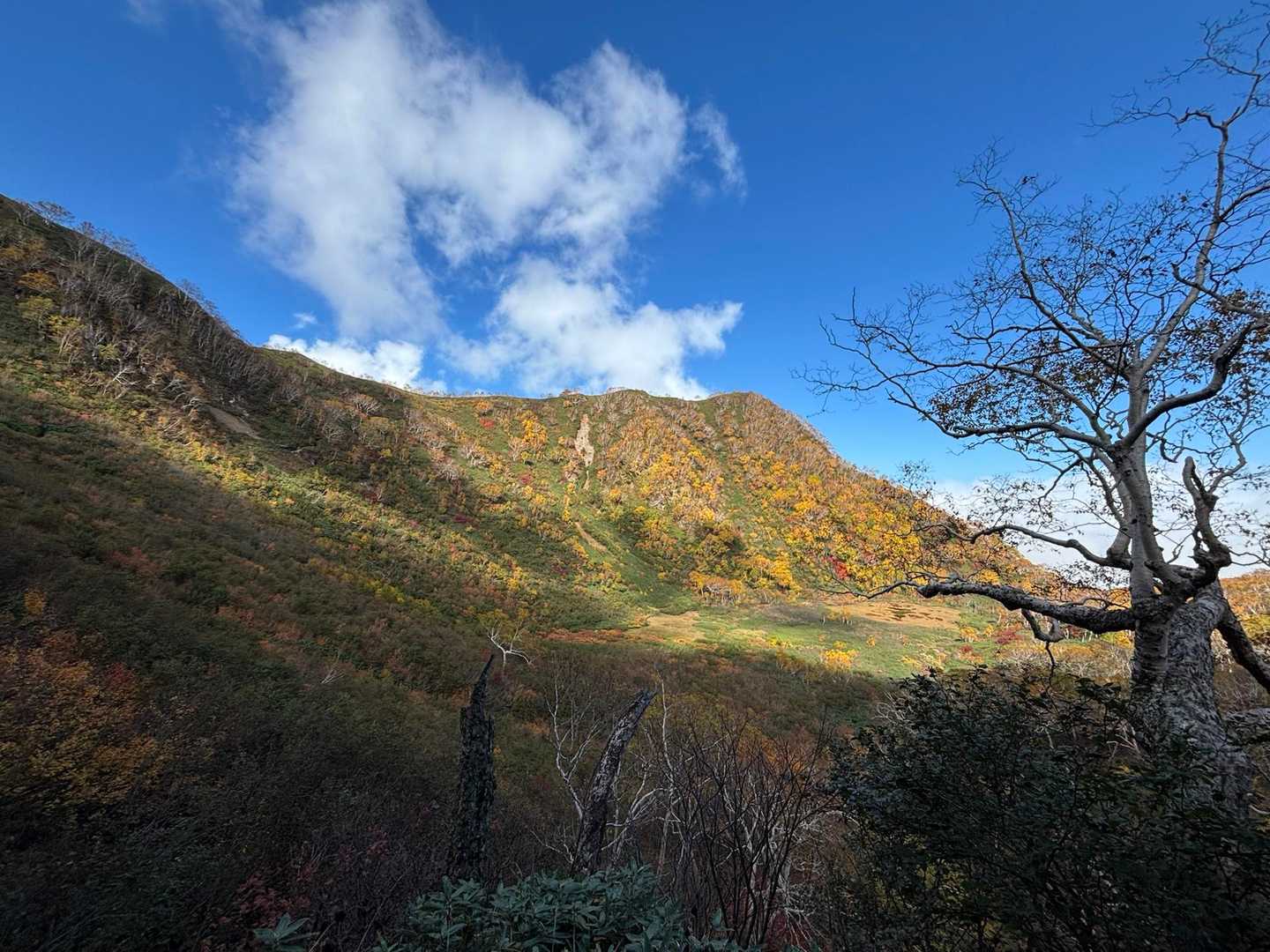 笹ヶ峰-火打山-茶臼山-大倉乗越-妙高山 周回コースの写真